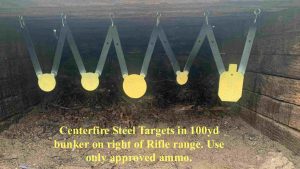 Approved center fire ammo only